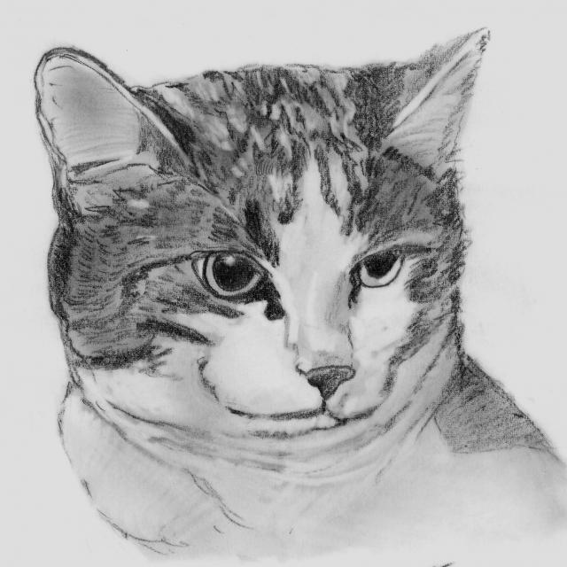 Tierportrait 1